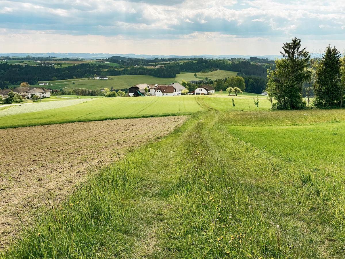格兰米斯特公寓 Niederwaldkirchen 外观 照片